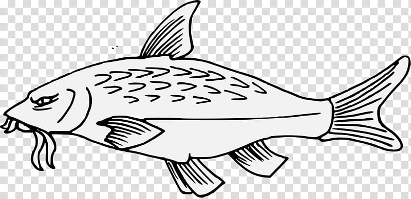 Fish, Artist, Heraldry, Drawing, Line Art, Charge, Pennsic War, John Guillim transparent background PNG clipart