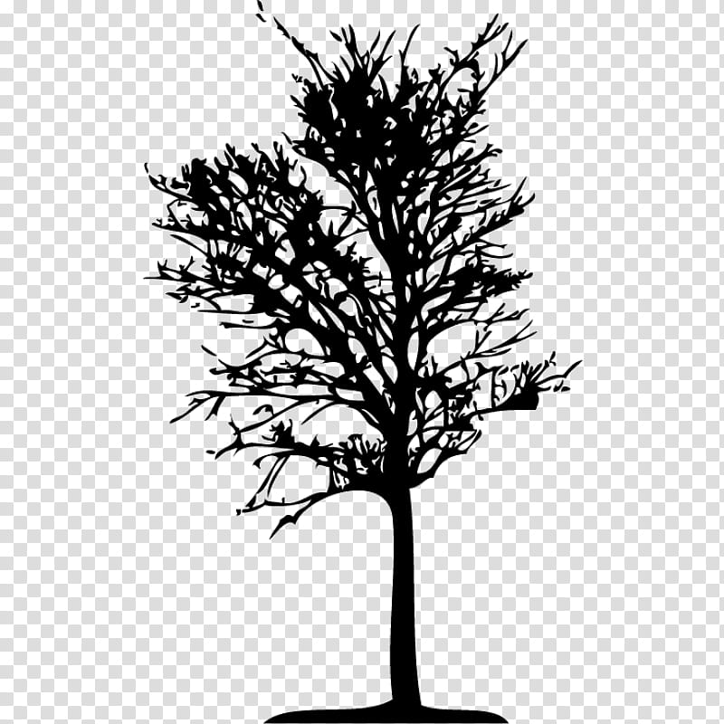 Family Tree Silhouette, Black, Twig, Size, Black And White
, Branch, Leaf, Woody Plant transparent background PNG clipart