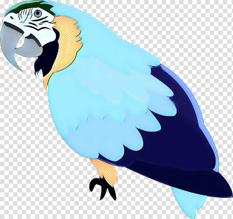 Eagle Bird, Macaw, Feather, Beak, Bird Of Prey, Wing, King Vulture, Bald Eagle transparent background PNG clipart
