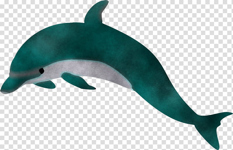 dolphin bottlenose dolphin cetacea animal figure common dolphins, Fin, Shortbeaked Common Dolphin, Bowhead, Spinner Dolphin, Porpoise transparent background PNG clipart