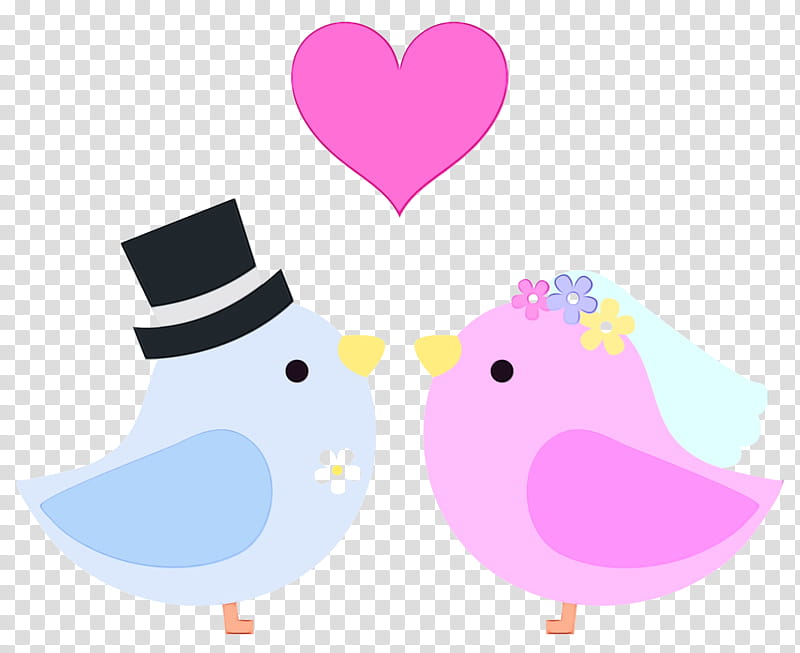 Love Background Heart, Chicken, Swans, Goose, Bird, Water Bird, Ducks, Beak transparent background PNG clipart