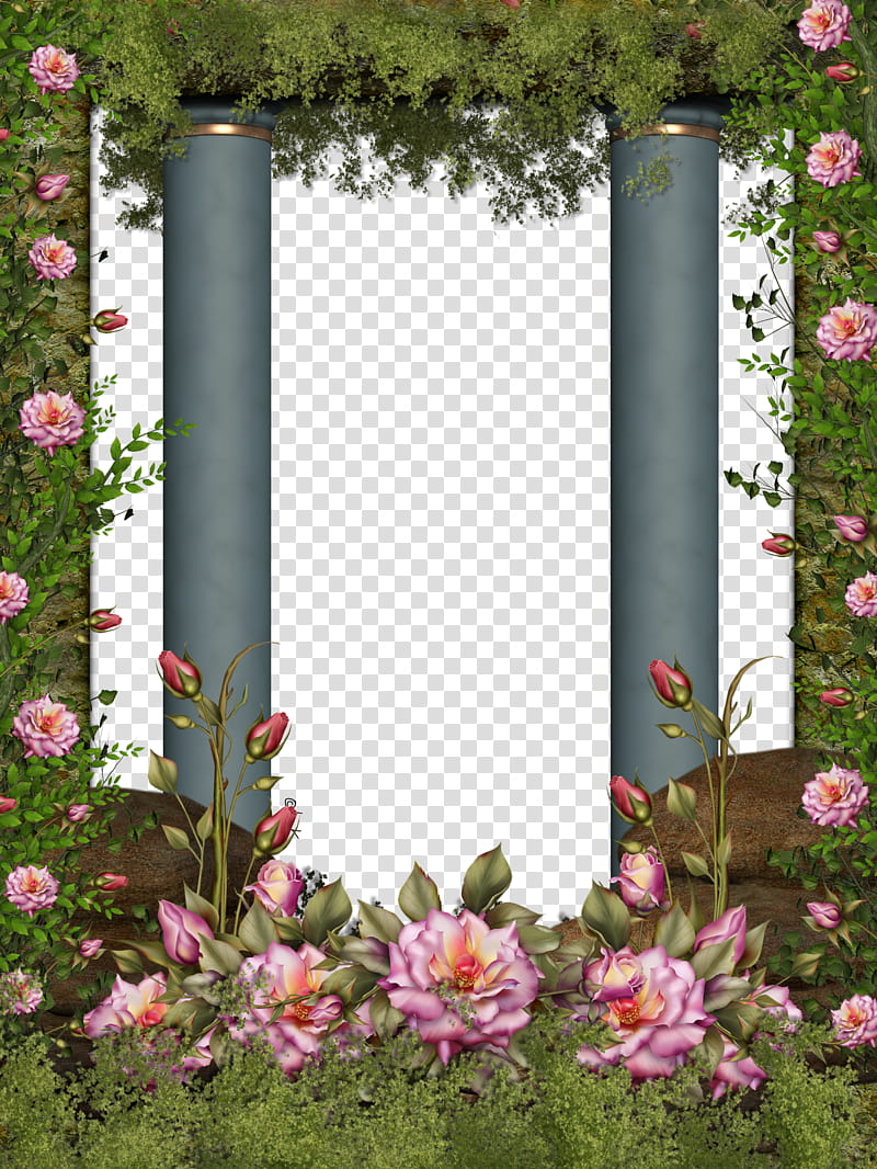 roses and pillars BG, pink petaled flower plants artwork transparent background PNG clipart