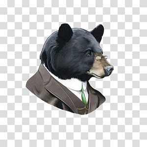 Bear Suit transparent background PNG cliparts free download | HiClipart