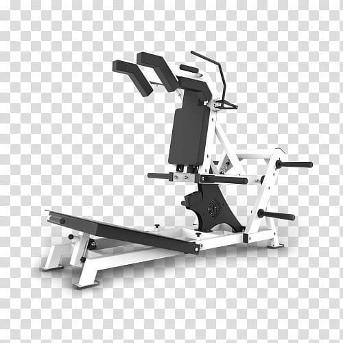 Fitness, Fitness Centre, Squat, Exercise Equipment, Power Rack, Bodybuilding, Physical Fitness, Weight TRAINING transparent background PNG clipart