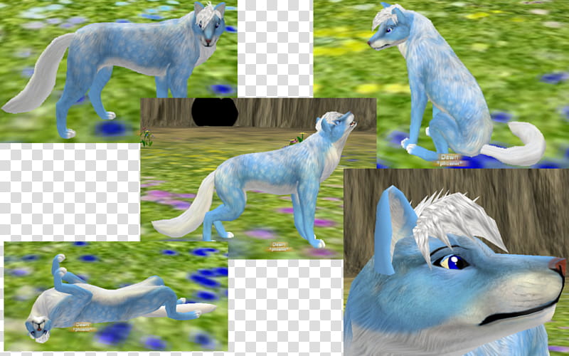 lol Dawn... new wolf char on FH transparent background PNG clipart