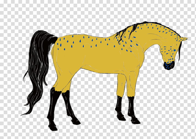 Zombie, Macabre, Mane, Pony, Mustang, Horror, Stallion, Mare transparent background PNG clipart
