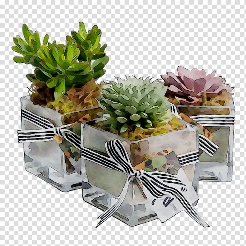 Flowers, Echeveria, Flowerpot, Plant, Leaf, Artificial Flower, Succulent Plant, Stonecrop Family transparent background PNG clipart