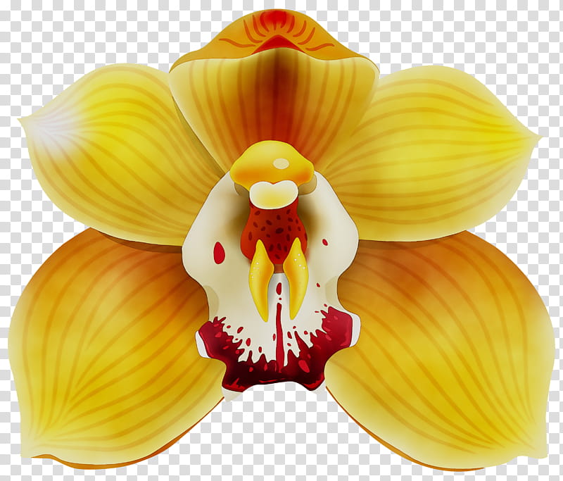 Orchid Flower, Yellow, Red, Orchids, Mobile Phones, Code, Rose, Tree transparent background PNG clipart