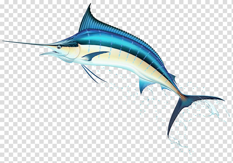 swordfish fish sailfish atlantic blue marlin marlin, Watercolor, Paint, Wet Ink, Fin transparent background PNG clipart
