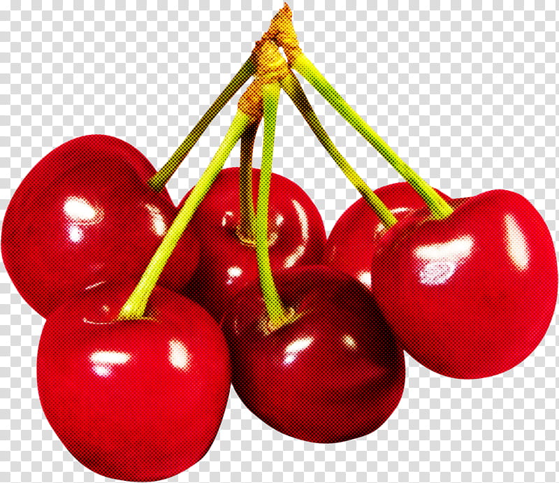 natural foods cherry fruit plant food, Acerola, Flower, Tree transparent background PNG clipart