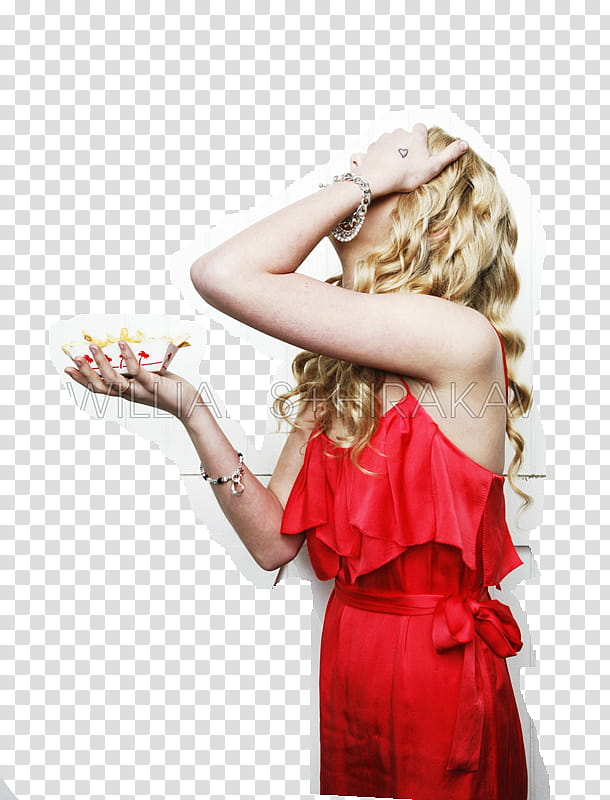 Taylor Swift Con Borde transparent background PNG clipart