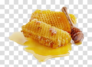 food cuisine corn kernels corn on the cob dish, Watercolor, Paint, Wet Ink, Ingredient, Vegetarian Food, Sweet Corn, Vegetable transparent background PNG clipart thumbnail