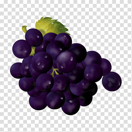 Grape, Jam, Fruit, Seedless Fruit, Grapevine Family, Purple, Vitis, Food transparent background PNG clipart