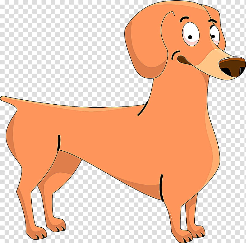 dog dog breed cartoon dachshund, Sporting Group transparent background PNG clipart