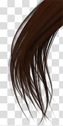 HD Realistic Classic Lara, black hair illustration transparent background PNG clipart