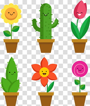 Cachepot Con Cactus In Ceramica - FloralGarden