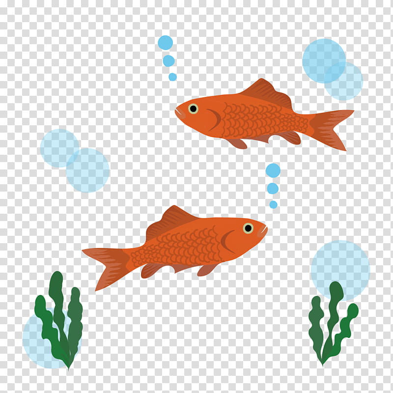 Coral Reef, Goldfish, Ecosystem, Akwarium Kulowe, Coral Reef Fish, Public Aquarium, Biology, Seafood transparent background PNG clipart