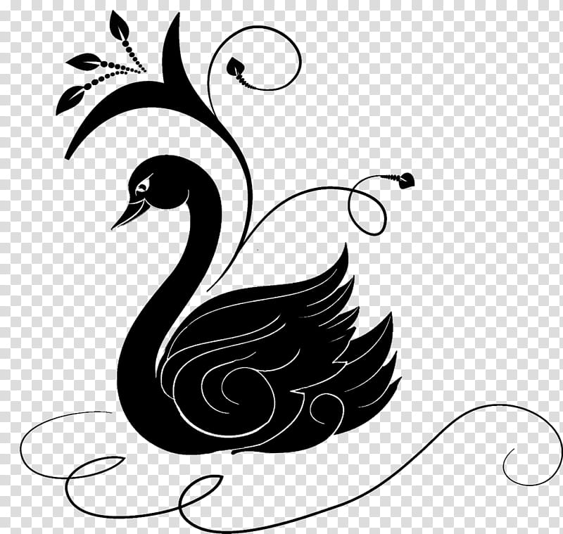 black swan painting transparent background PNG clipart