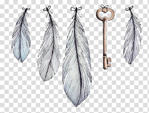 , white feather and gray skeleton key illustration transparent background PNG clipart