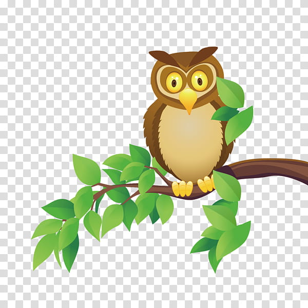 Owl, Cartoon, Animal, Bird, Wildlife, Forest, Tree, Bird Of Prey transparent background PNG clipart