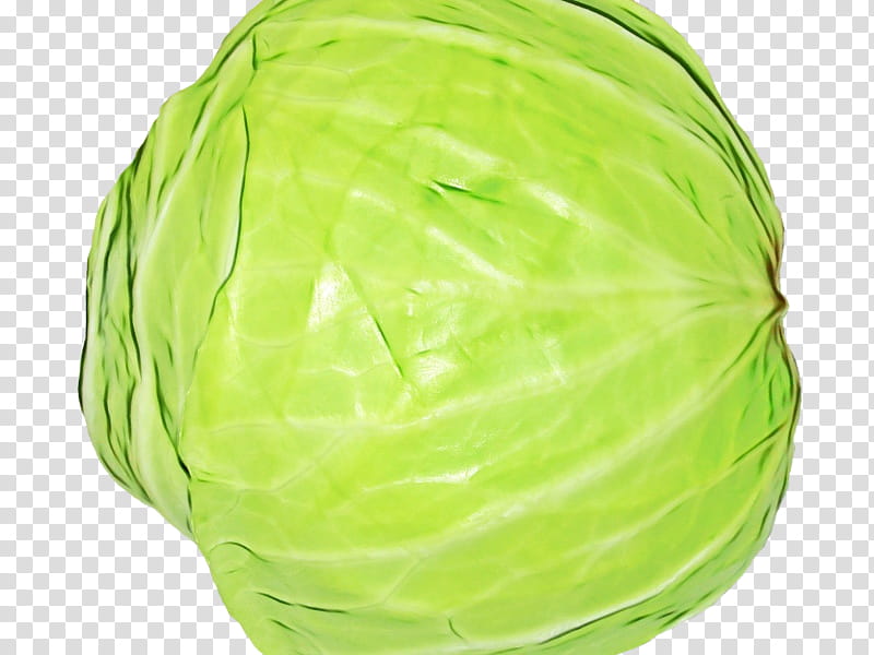 Green Leaf, Collard, Savoy Cabbage, Wild Cabbage, Iceburg Lettuce, Vegetable, Leaf Vegetable, Plant transparent background PNG clipart