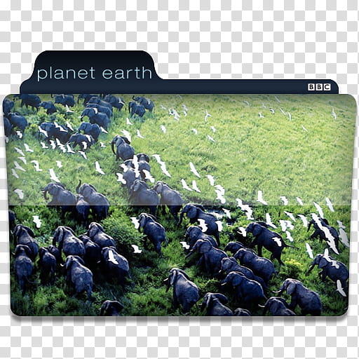 Windows TV Series Folders O P, Planet Earth BBC folder icon transparent background PNG clipart