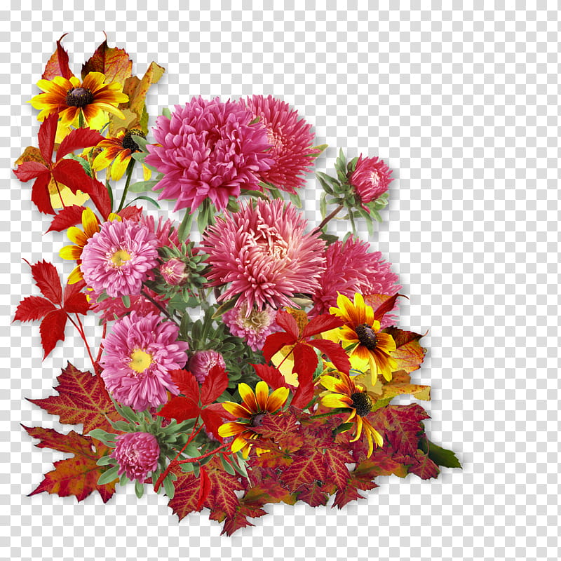 Pink Flowers, Flower Bouquet, Floral Design, Cut Flowers, Chrysanthemum, Autumn Flowers, Floriculture, Fruit transparent background PNG clipart