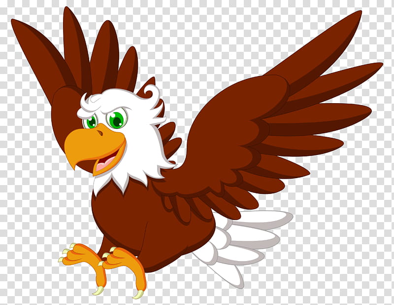 Eagle Bird, Bald Eagle, Hawk, Cartoon, Drawing, Bird Of Prey, Accipitridae, Chicken transparent background PNG clipart
