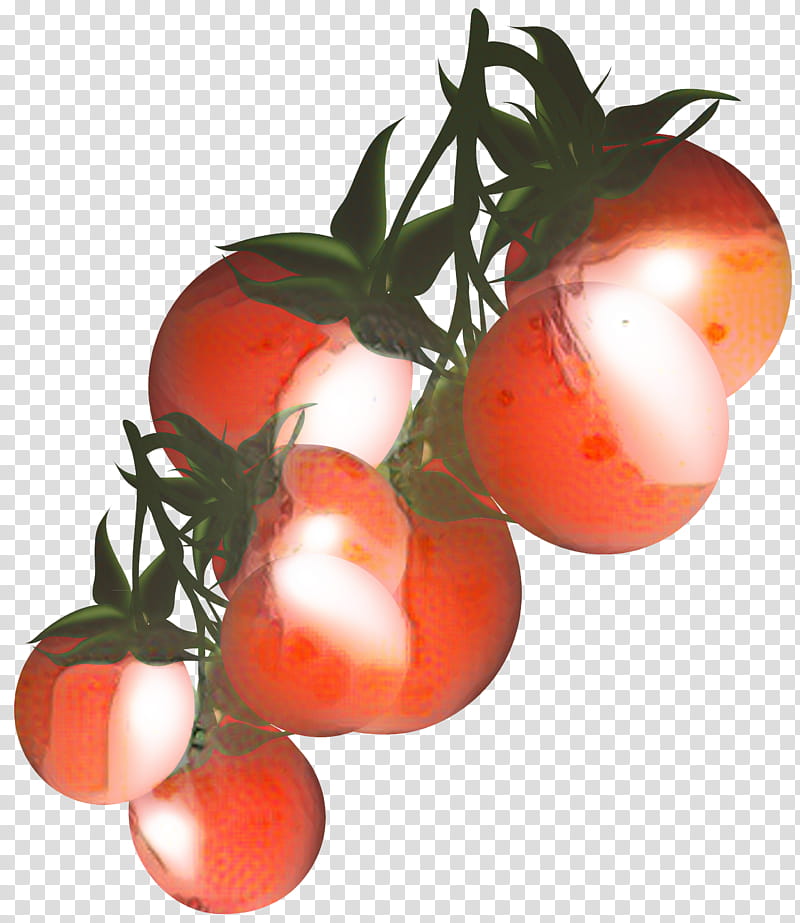 Flower Bush, Cherry Tomato, Vegetable, Tomato Sauce, Fruit, Food, Beefsteak Tomato, Bush Tomato transparent background PNG clipart