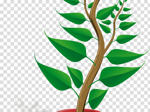 Flower Tree, Flowerpot, Houseplant, Plants, Cartoon, Plants Vs Zombies, Auxin, Cytokinin transparent background PNG clipart