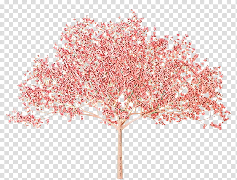 Cherry Blossom Tree, Cherries, National Cherry Blossom Festival, Branch, Flowering Dogwood, East Asian Cherry, Pink, Plant transparent background PNG clipart