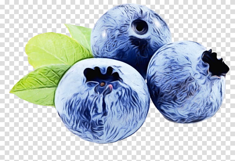 Blueberry Transparency Bilberry Periorbital puffiness Food, Watercolor, Paint, Wet Ink, Instacart, Skin Care, Fruit, Plant transparent background PNG clipart