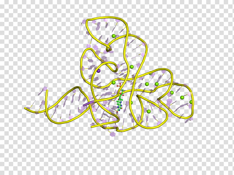 Cartoon Nature, Biology, Research, Molecular Biology, Rna, Noncoding Rna, Cell, Science transparent background PNG clipart