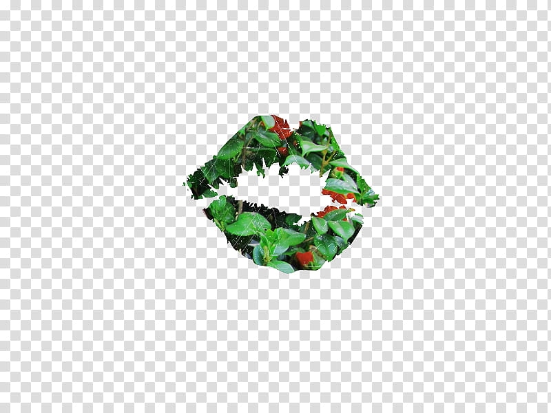Eye Of Flower s, green and red floral kiss mark transparent background PNG clipart