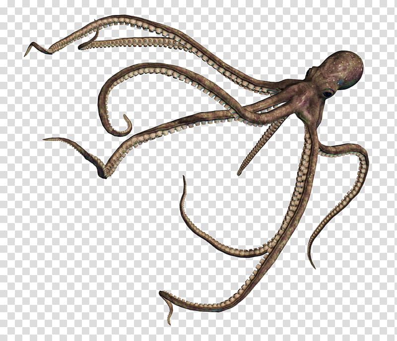 Giant Of The Deep , gray octopus transparent background PNG clipart