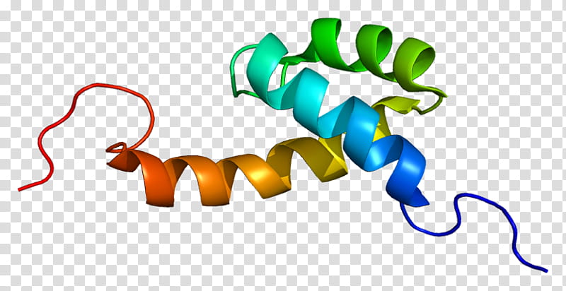 Dna Text, Dnabinding Protein, Transcription, Gene, Transcription Factor, Homeobox, Translation, Noncoding Dna transparent background PNG clipart