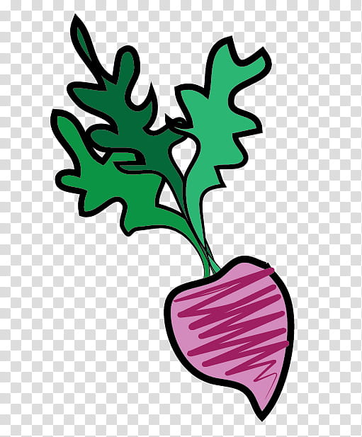 Green Leaf, Turnip, Lettuce, Plants, Plant Stem, Flower, Humour, Woody Plant transparent background PNG clipart