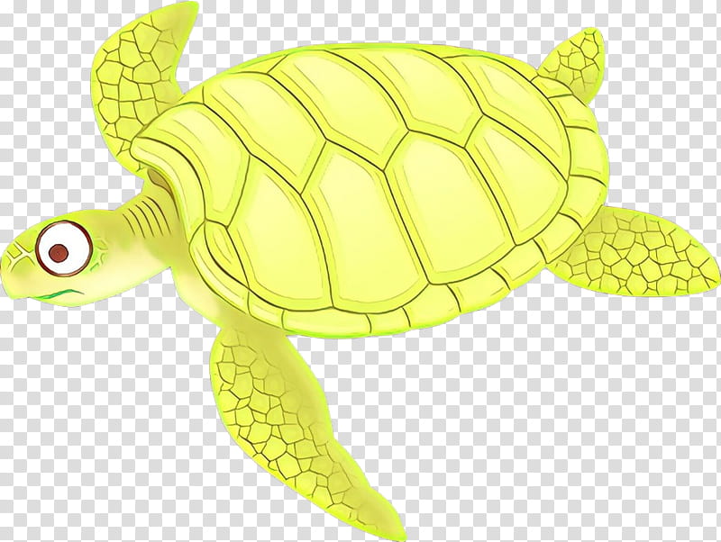 sea turtle green sea turtle turtle kemp's ridley sea turtle olive ridley sea turtle, Kemps Ridley Sea Turtle, Tortoise, Pond Turtle, Loggerhead Sea Turtle, Reptile transparent background PNG clipart