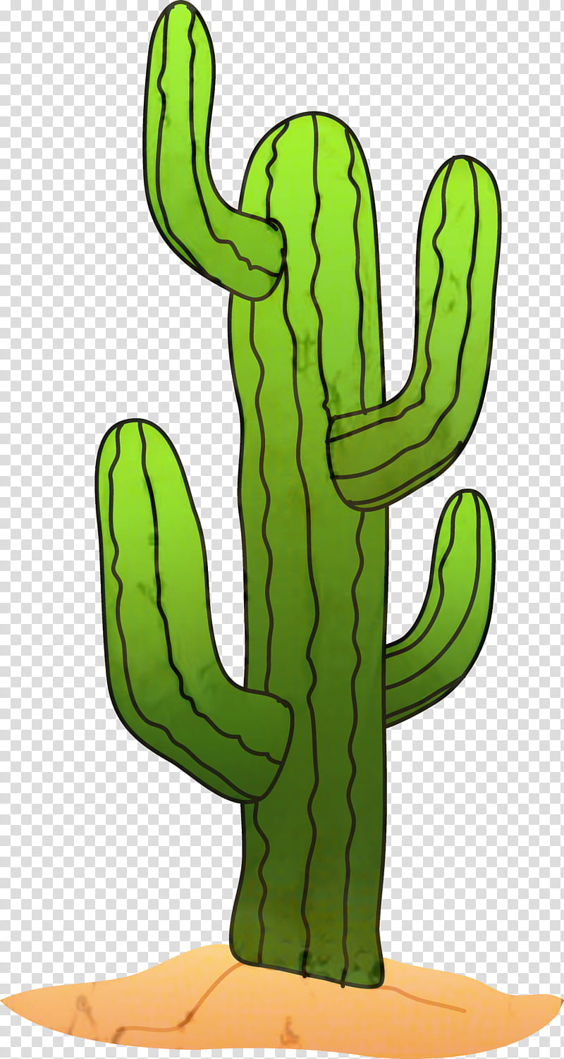 Green Flower, Cactus, Saguaro, Cartoon, Drawing, Plants, Succulent Plant, Cactus transparent background PNG clipart