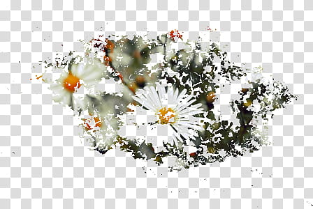 Distorted Flowers transparent background PNG clipart