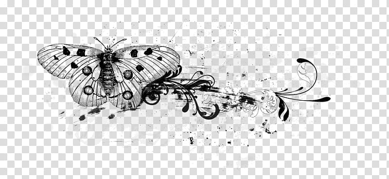 Dusting Wings, gray, white, and black butterfly illustration transparent background PNG clipart