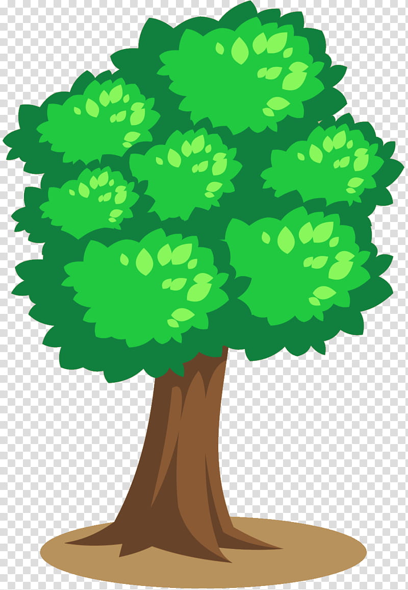 Green Leaf, Tree, Plant Stem, Plants, Woody Plant, Arbor Day transparent background PNG clipart