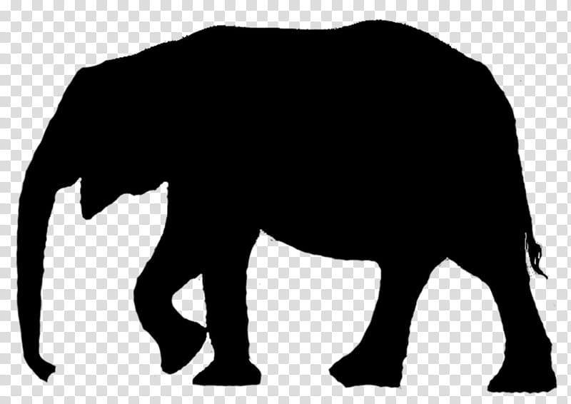 Elephant, Asian Elephant, Silhouette, African Elephant, Drawing, Indian Elephant, Wildlife, Snout transparent background PNG clipart