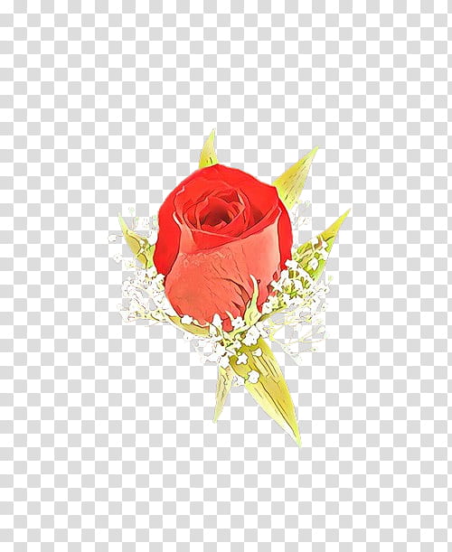 Pink Flowers, Garden Roses, Cut Flowers, Floral Design, Flower Bouquet, Petal, Red, Rose Family transparent background PNG clipart