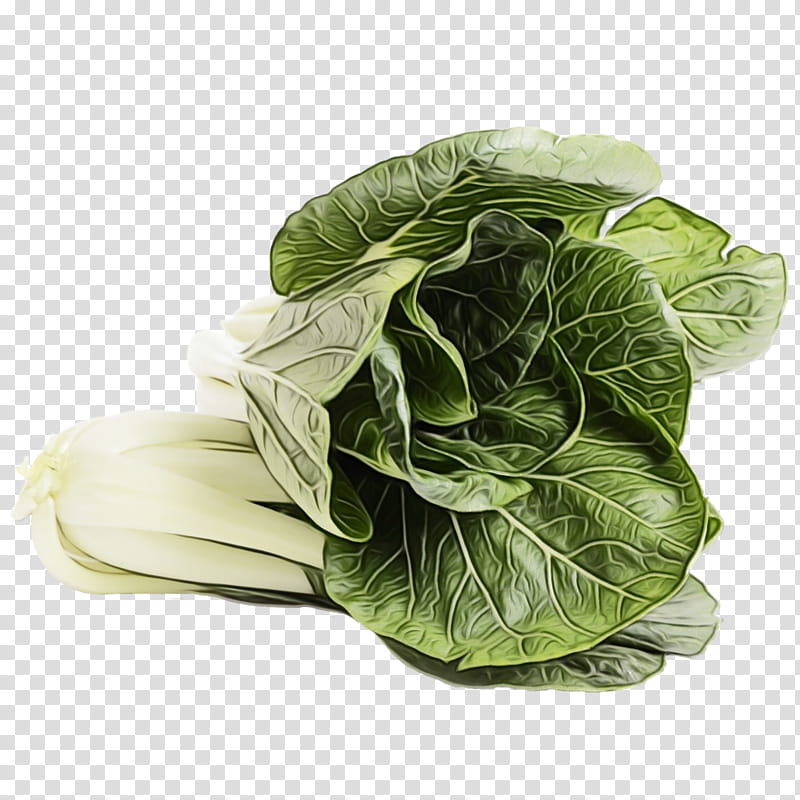 vegetable leaf vegetable cabbage collard greens leaf, Watercolor, Paint, Wet Ink, Food, Romaine Lettuce, Plant, Savoy Cabbage transparent background PNG clipart