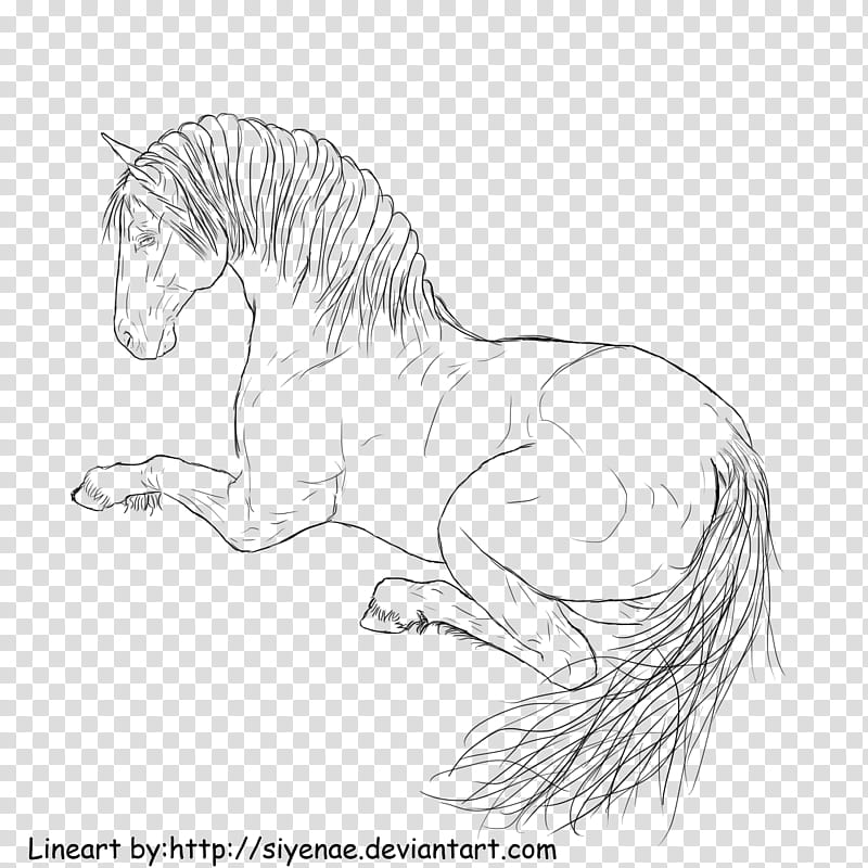 lying horse lineart, black horse sketch transparent background PNG clipart
