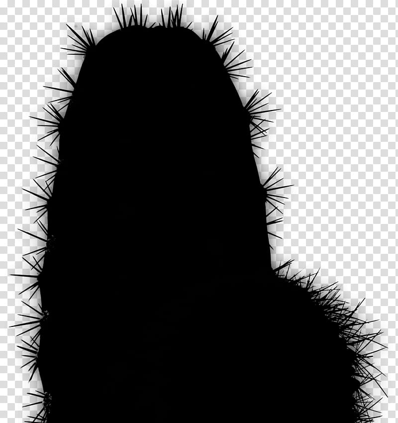 Cactus, Computer, Fur, Silhouette, Plants, Black, Head, Thorns Spines And Prickles transparent background PNG clipart