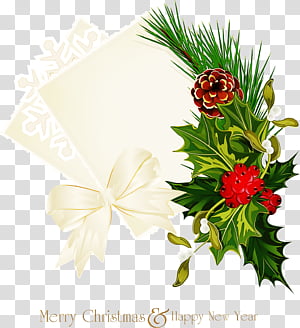 Christmas ornaments Christmas decoration Christmas, Christmas 
, Oregon Pine, Holly, Colorado Spruce, Plant, Tree, Branch transparent background PNG clipart thumbnail