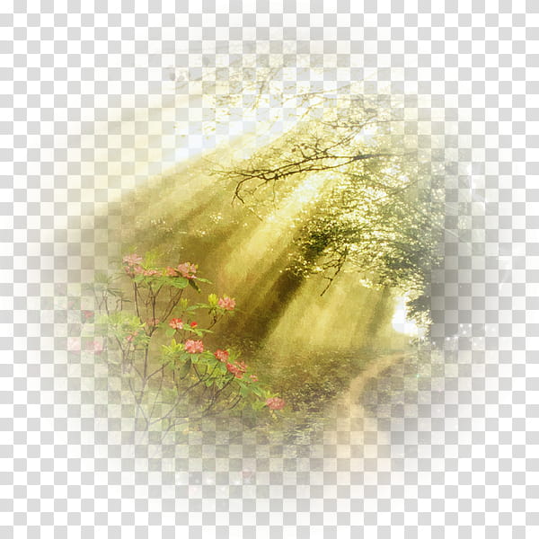 Cartoon Nature, Light, Tree, Wood, Branch, Gratis, 2018, Grass transparent background PNG clipart