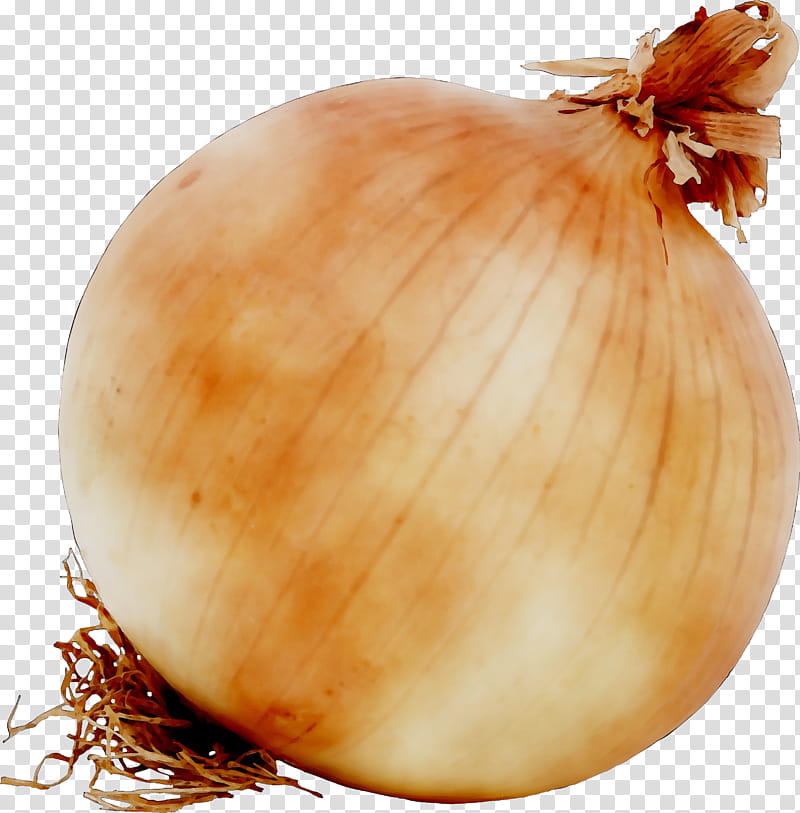 Onion, Yellow Onion, Vegetable, Red Onion, Blooming Onion, French Onion Soup, Shallots, White Onion transparent background PNG clipart